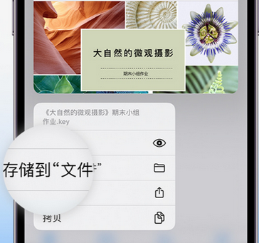 东城apple维修中心分享iPhone文件应用中存储和找到下载文件