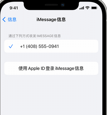 东城apple维修iPhone上无法正常发送iMessage信息 