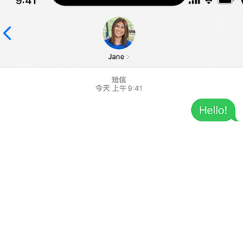 东城apple维修iPhone上无法正常发送iMessage信息