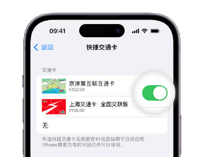 东城apple维修点分享iPhone上更换Apple Pay快捷交通卡手绘卡面 