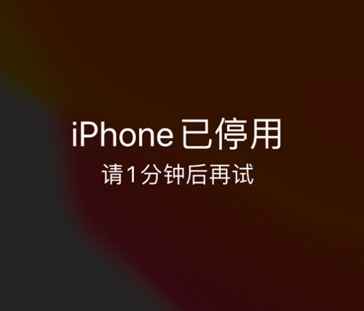 东城苹果手机维修分享:iPhone 显示“不可用”或“已停用”怎么办？还能保留数据吗？ 