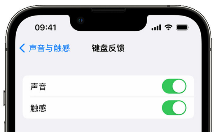 东城苹果手机维修分享iPhone 14触感键盘使用方法 