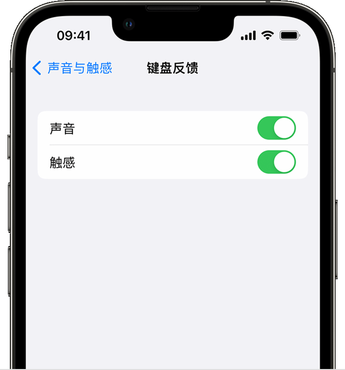 东城苹果14维修店分享如何在 iPhone 14 机型中使用触感键盘 