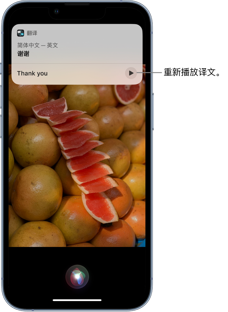 东城苹果14维修分享 iPhone 14 机型中使用 Siri：了解 Siri 能帮你做什么 