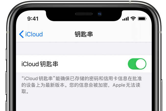 东城苹果手机维修分享在 iPhone 上开启 iCloud 钥匙串之后会储存哪些信息 