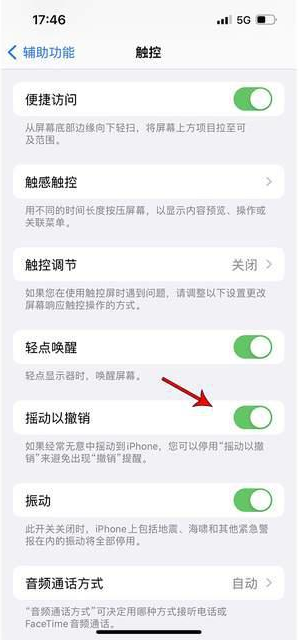 东城苹果手机维修分享iPhone手机如何设置摇一摇删除文字 