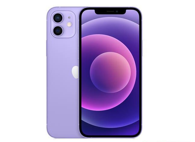 东城苹果手机维修分享现阶段要不要入手紫色版iPhone12 