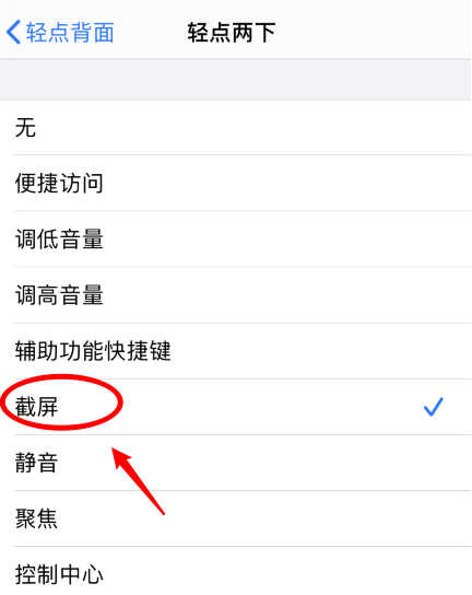 东城苹果手机维修分享iPhone12如何启用双击截屏 