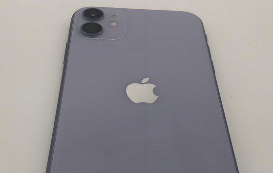 东城苹果11系统维修分享iPhone11手机系统崩溃无法开机如何解决
